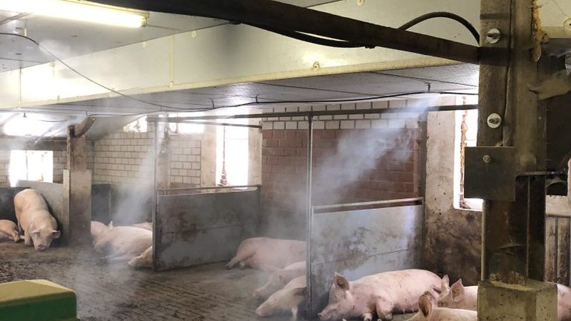 京东代运营食品类目：揭秘成功关键与避坑指南