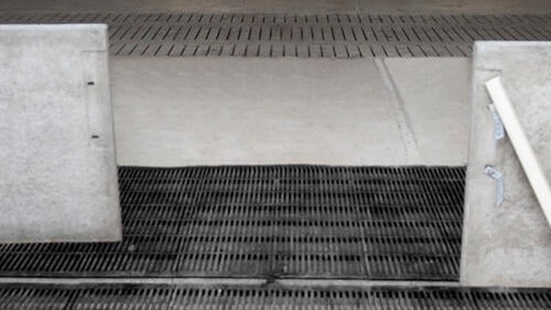 独立站搭建平台选哪家？揭秘成本与性价比